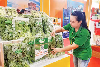 Các đơn vị giới thiệu sản phẩm tại Tuần lễ sản phẩm OCOP, sản phẩm đặc trưng các vùng miền và công nghệ sản xuất, bảo quản, chế biến nông sản Thành phố Hồ Chí Minh năm 2024.