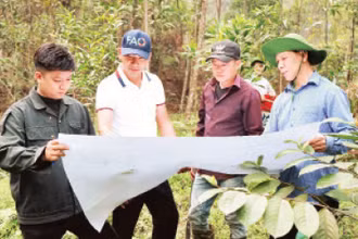 Nhân viên Văn phòng Đăng ký đất đai tỉnh Yên Bái thực hiện nhiệm vụ đo đạc tại thành phố Yên Bái.