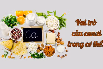 Vai trò của canxi trong cơ thể?