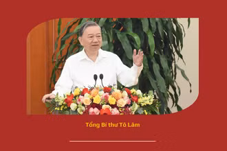 Bài 3: Những giải pháp cấp bách để việc tổ chức, sắp xếp lại bộ máy đạt được hiệu quả cao nhất 