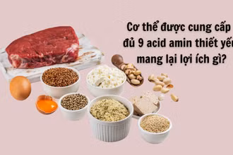 Cơ thể được cung cấp đủ 9 acid amin thiết yếu mang lại lợi ích gì?