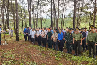 Hơn 300 cán bộ các cơ quan thành phố Pleiku hưởng ứng phong trào tết trồng cây năm 2024.