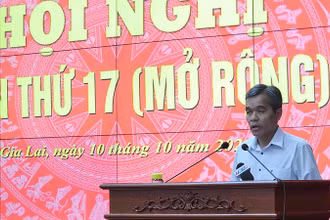 Đồng chí Hồ Văn Niên, Ủy viên Trung ương Đảng, Bí thư Tỉnh ủy, Chủ tịch Hội đồng Nhân dân tỉnh phát biểu khai mạc Hội nghị.