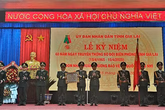 Thừa ủy quyền của Chủ tịch nước, đồng chí Thiếu tướng Nguyễn Đức Mạnh, Phó Tư lệnh Bộ đội Biên phòng đã trao Huân chương Bảo vệ Tổ quốc hạng Nhì tặng Bộ đội Biên phòng tỉnh Gia Lai.