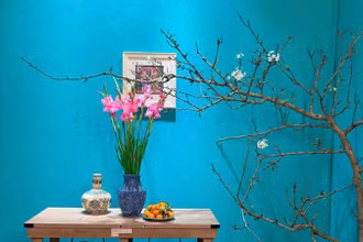 Không gian hoa Tết của nghệ nhân Kim Anh Ngô.