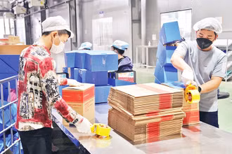 Công nhân làm việc tại nhà máy của Công ty TNHH Deli Việt Nam, huyện Yên Phong, tỉnh Bắc Ninh. (Ảnh ĐĂNG ANH)