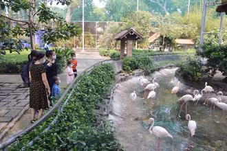 Du khách tham quan Thảo Cầm Viên Sài Gòn.