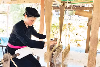 Thiếu nữ Tày (Na Hang, Tuyên Quang) bên khung cửi.
