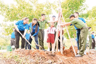 Trồng cây xanh tại Lễ ra quân chiến dịch tình nguyện hè 2024. (Ảnh Thành đoàn Thành phố)