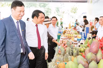 Ông Đinh Cao Khuê (bìa trái) dự khai trương nhà máy chế biến rau quả tại Sơn La. 