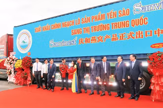 Công ty cổ phần Nước giải khát Yến sào Khánh Hòa Sanvinest xuất khẩu chính ngạch sản phẩm yến sào sang thị trường Trung Quốc.