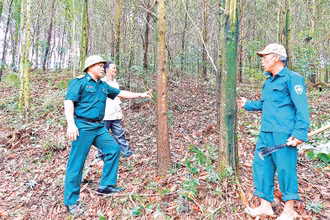 Trung tá Nguyễn Minh Việt, Phó Bí thư Đảng ủy xã Hóa Sơn trao đổi với bà con về kế hoạch trồng rừng gỗ lớn.