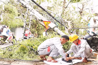 Cán bộ, nhân viên kỹ thuật các doanh nghiệp viễn thông khắc phục sự cố sau bão số 3 tại Hải Phòng. (Ảnh V.T)
