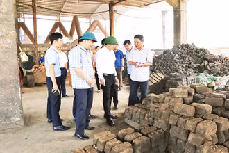 Lãnh đạo tỉnh Bắc Kạn kiểm tra dự án chế biến kim loại màu của Công ty cổ phần khoáng sản Bắc Kạn. (Ảnh THU TRANG)