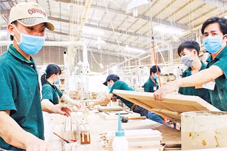 Sản xuất gỗ xuất khẩu tại Công ty cổ phần Lâm Việt, thành phố Tân Uyên, tỉnh Bình Dương.