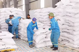 Công nhân Nhà máy chế biến cà-phê Sơn La bốc xếp hàng hóa.