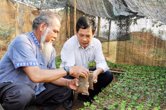 Nhiều năm nay, ông K’Lăm (bên trái), người có uy tín tại xã Đắk P’Lao, huyện Đắk Glong, tỉnh Đắk Nông, luôn giúp đỡ người dân phát triển kinh tế, xây dựng đời sống văn hóa, giữ gìn sự bình yên cho buôn, làng. (Ảnh NGUYỄN ĐĂNG)