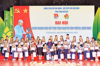 Các đại biểu Cháu ngoan Bác Hồ tỉnh Thái Nguyên lần thứ XV - năm 2023 được tuyên dương tại Đại hội. (Ảnh LĂNG KHOA)