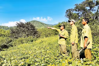 "Khi bị thương, tôi chỉ lo cho anh em..."