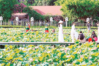 Hàng chục héc-ta đất trồng lúa kém hiệu quả đã được nông dân Ninh Bình chuyển đổi sang trồng sen phục vụ du lịch, cho thu nhập cao. (Ảnh MINH ĐƯỜNG)