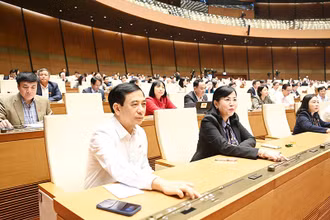 Các đại biểu Quốc hội biểu quyết thông qua Luật Quản lý, bảo vệ công trình quốc phòng và khu quân sự. (Ảnh THỦY NGUYÊN) 