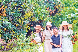 Du lịch sinh thái vườn tại Đồng Nai ngày càng thu hút du khách.