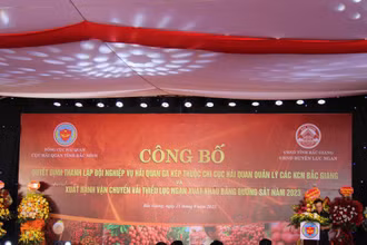 Quang cảnh buổi lễ.