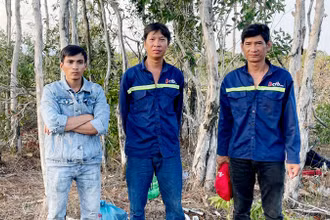 3 đối tượng phá rừng bị lực lượng chức năng phát hiện, bắt giữ.