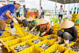 Tốc độ tăng trưởng kinh tế tỉnh Kiên Giang bình quân giai đoạn 2021-2023 ước đạt 5,29%/năm. 
