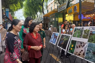 Các đại biểu tham quan triển lãm.