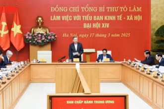 [Video] Ổn định và phát triển phải song hành để bảo đảm tương lai bền vững