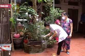 Chủ động phòng, chống sốt xuất huyết ngay từ cơ sở