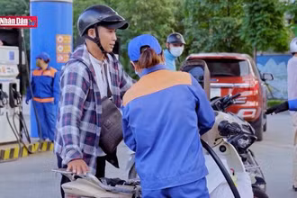 Luật Giá - Công cụ pháp lý điều hành kinh tế vĩ mô