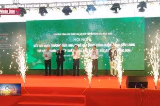 Kết nối giao thương giữa nhà cung cấp với doanh nghiệp xuất khẩu