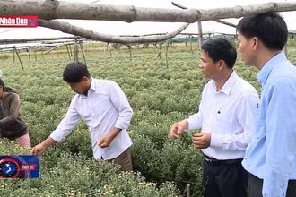 Những người đi đầu ở La Vân Hạ