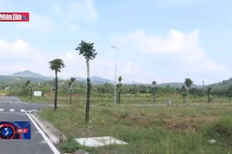 Sau đấu giá nhiều khu đất bỏ hoang