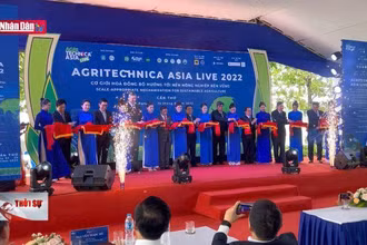 Thúc đẩy cơ giới hóa đồng bộ hướng tới nền nông nghiệp bền vững