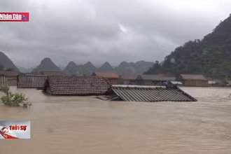 Quảng Bình tìm giải pháp thoát lũ cho vùng Lệ Thủy, Quảng Ninh