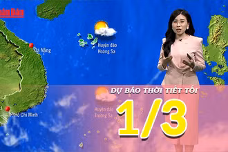 [Video] Dự báo thời tiết tối 1/3/2025