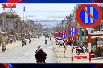[Video] Tháo dỡ hàng loạt biển báo trên tuyến đường được "trồng" 23 biển báo cùng loại