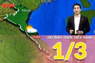 [Video] Dự báo thời tiết sáng 1/3/2025