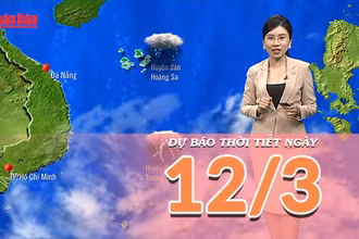 [Video] Dự báo thời tiết ngày 12/3/2023