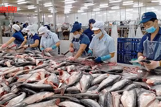 [Video] Năm thị trường xuất khẩu hải sản lớn nhất của Việt Nam