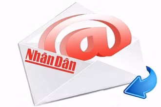 Chậm hồi âm