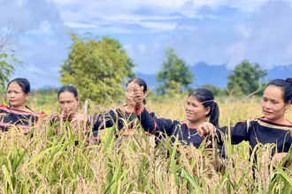 Ảnh minh họa. (Nguồn: Báo Đại đoàn kết)