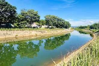 Tỉnh Quảng Nam nâng cấp các kênh chính đảm bảo nguồn nước tưới cho vùng chuyên canh nông nghiệp