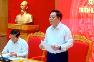 Trưởng Ban Tuyên giáo Trung ương Nguyễn Trọng Nghĩa nhấn mạnh: cần nhận thức sâu sắc hơn nữa về vai trò, vị trí, tầm quan trọng của công tác thông tin đối ngoại. (Ảnh: VGP)