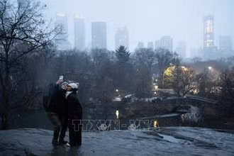 Tuyết rơi tại Công viên Trung tâm ở New York, Mỹ, ngày 6/1/2024. (Ảnh: AFP/TTXVN)