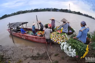 Quảng bá vẻ đẹp Việt Nam ra thế giới là bước đi chiến lược, bài bản. (Ảnh: VŨ LINH)