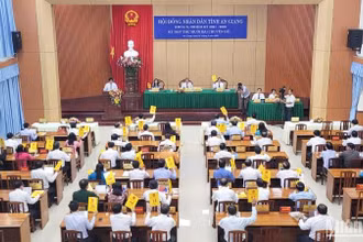 Các đại biểu biểu quyết thông qua các nghị quyết.